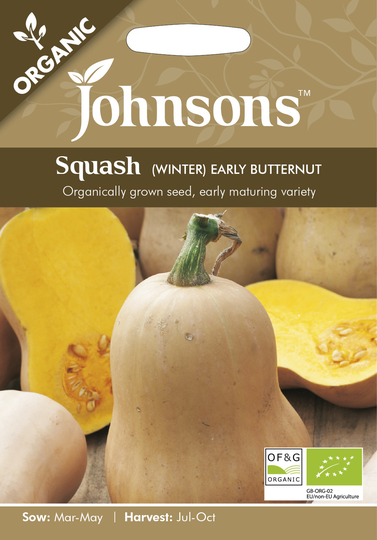Squash (Winter) 'Early Butternut' Organic