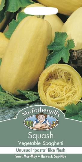 SQUASH Vegetable Spaghetti