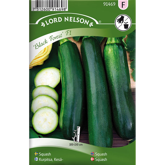 Klängsquash 'Black Forest F1'