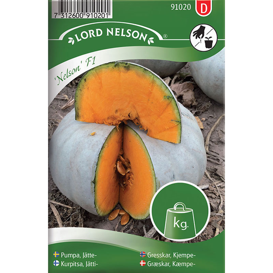 Jättepumpa 'Nelson' F1