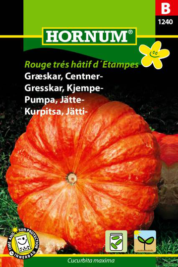Jättepumpa 'Rouge trés hâtif d'Etampes', frö