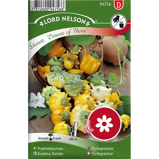 Prydnadspumpa 'Crowns of Thorns'