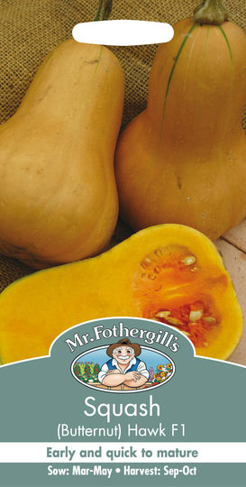 Squash(Butternut) 'Hawk F1'