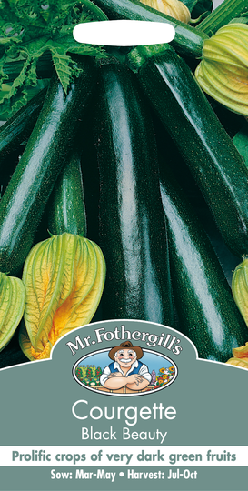 Sommarsquash 'Black Beauty'