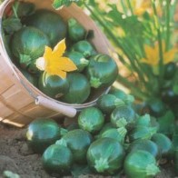 Squash 'Eight Ball' F1
