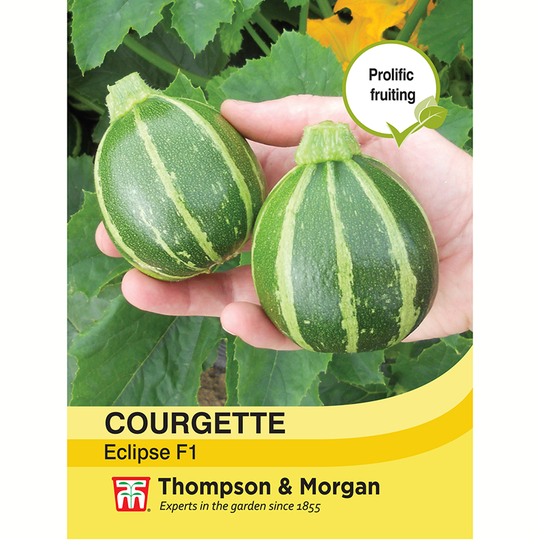 Squash 'Eclipse' F1