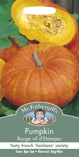 Pumpa 'Rouge vif d'Etampes'